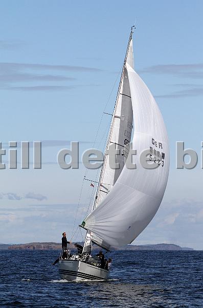 ORCi2 631.jpg